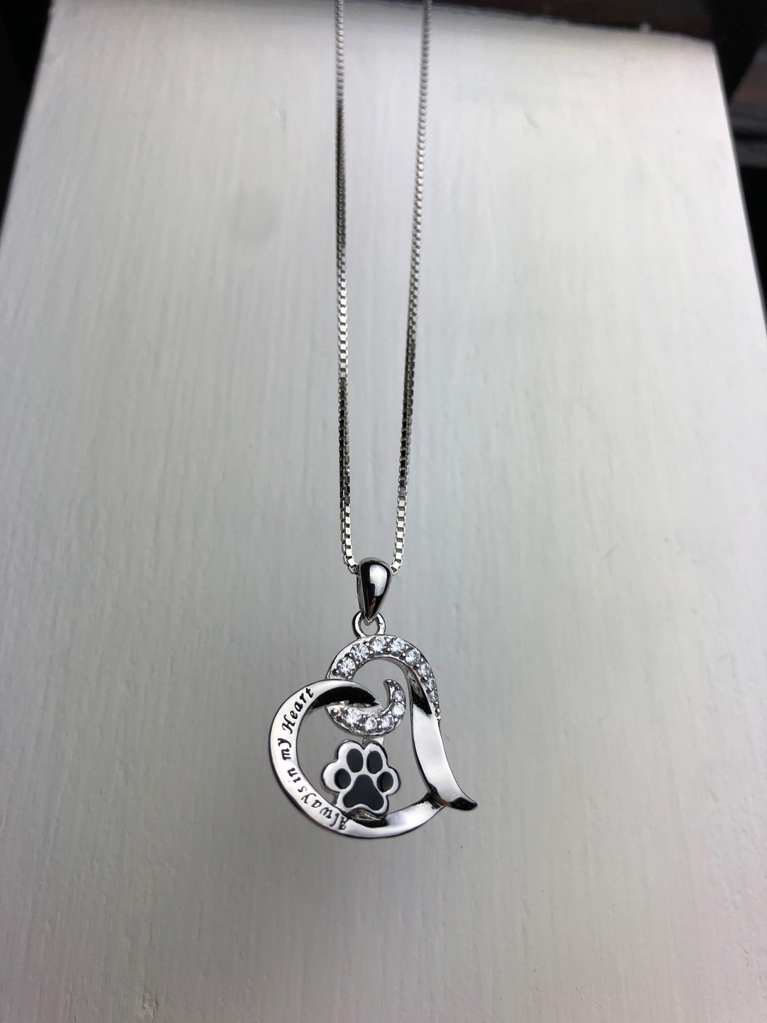 Collier Mémorial Élégant pour Chien – Acier Inoxydable